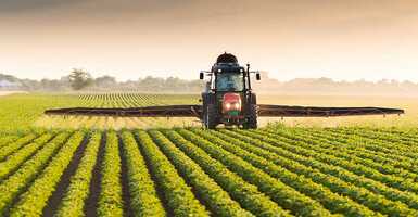 A mezőgazdaság kialakulása